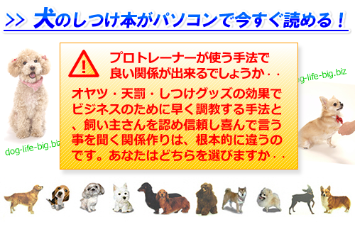 link-p1.png