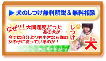 link-p2.png