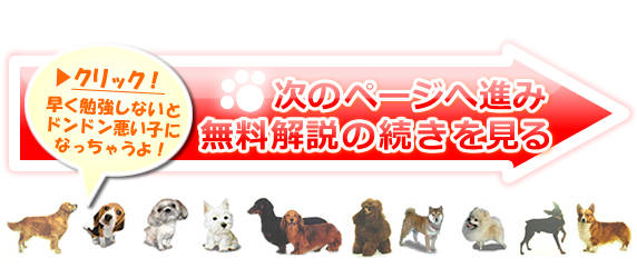 top4.png